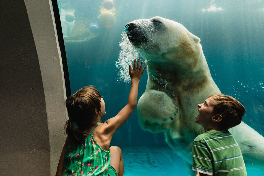 Educational Road Trips: The Best U.S. Destinations for Learning on the Go