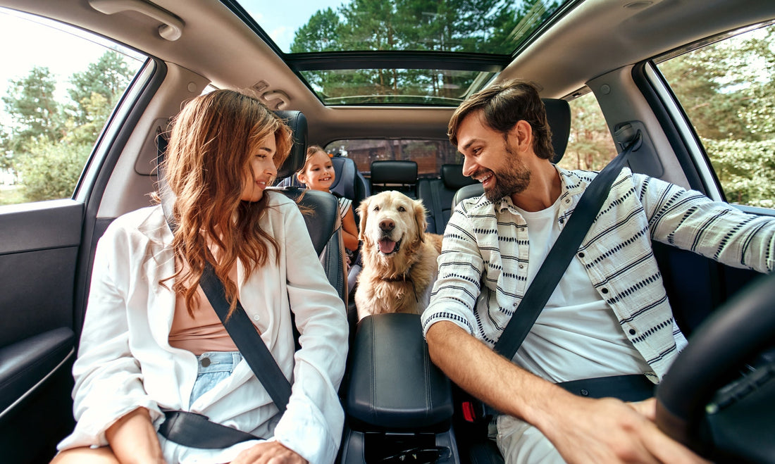 Pet‑Friendly Family Adventures: Traveling With Kids *and* Animals Without Losing Your Mind