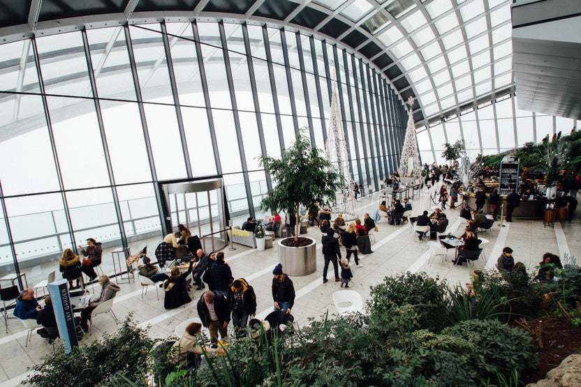 Layovers Made Easy: Fun Ideas to Keep Your Kids Entertained